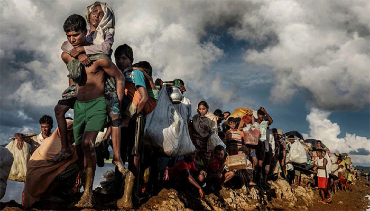 নাগরিকত্ব নয়, কার্ড দিয়ে রোহিঙ্গা নেবে মিয়ানমার