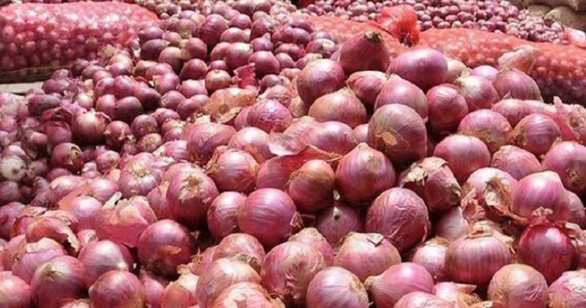 ভারত থেকে আসবে হাজার টন পেঁয়াজ