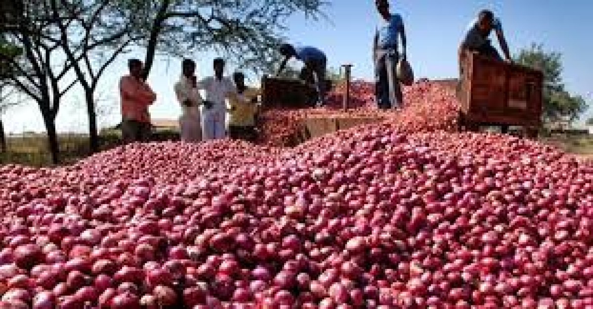 ভারত থেকে এলো পেঁয়াজ আমদানির প্রথম চালান