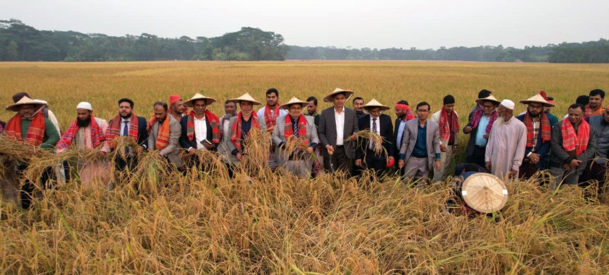 ভোলায় ঐতিহ্যবাহী ‘ধান কাটা ও নবান্ন উৎসব’ অনুষ্ঠিত: প্রধান অতিথি জেলা প্রশাসক ও বিজ্ঞ জেলা ম্যাজিস্ট্রেট ডা. শামীম রহমান